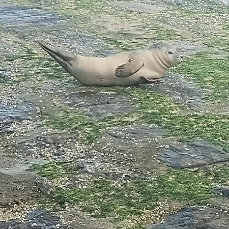 Zonnegloed דירה *