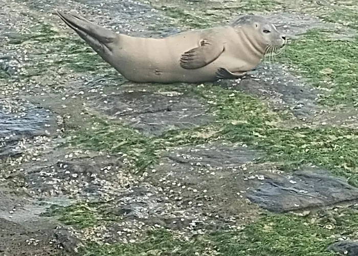 Zonnegloed 아파트 *